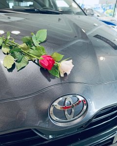 Hyvää Naistenpäivää🌹